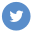gallery/1371167784_twitter_circle_color